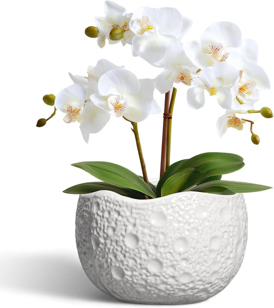 Ceramic Pots for Plants - 6 Inch Plant Pot for Indoor Outdoor, Decorative Orchid Pots with Drainage