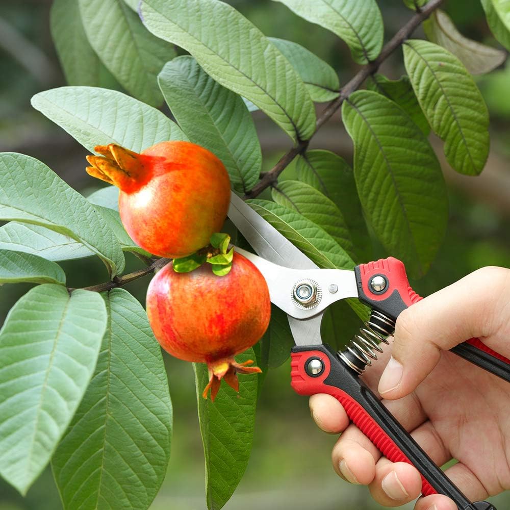 WYF Pruning Scissors, Professional Garden Shears - Straight Stainless Steel Blades - Sharp