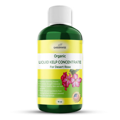 Liquid Kelp Fertilizer for Desert Rose - Plant Food for Adenium & Desert Plants - Organic Seaweed
