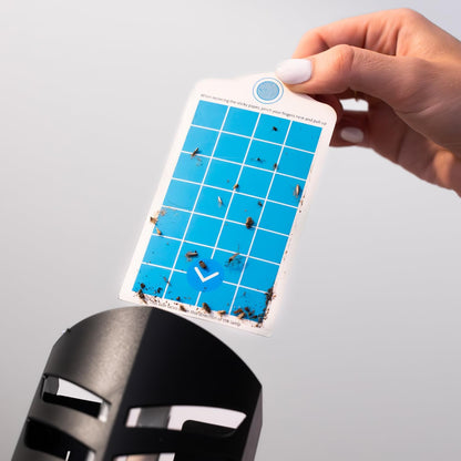 VEYOFLY Fruit Fly Traps for Indoors Refill, Gnat Traps for House, Fly Catcher, Fly Trap, Fly Trap