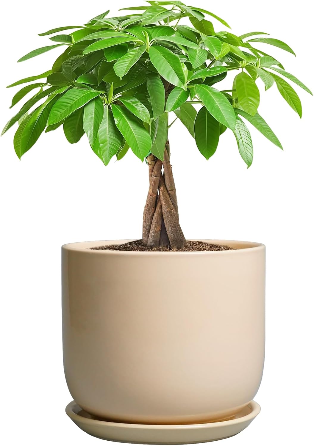 Ceramic Plant Pot - 7 Inch Mid Century Round Ceramic Planter for Indoor Plants with Drainage Hole