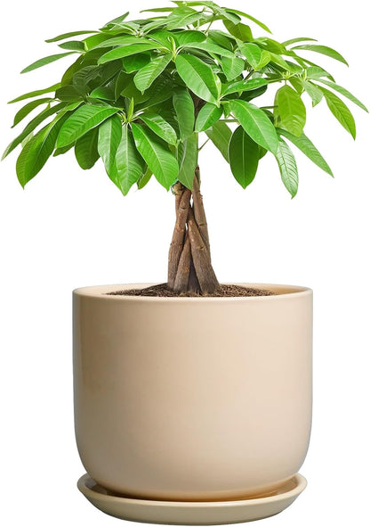 Ceramic Plant Pot - 7 Inch Mid Century Round Ceramic Planter for Indoor Plants with Drainage Hole