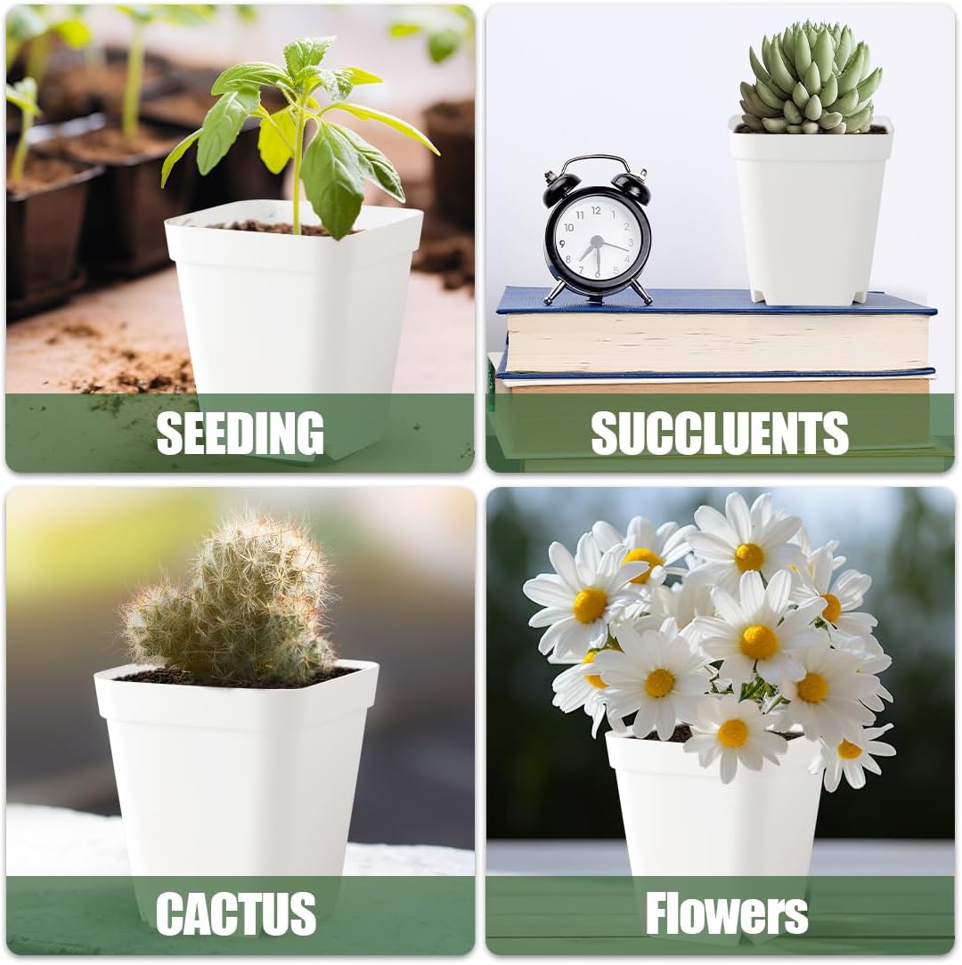BTPLASTIK 80 Pcs Nursery Pots 4 Inch, Plastic Seed Starting Pot with Drainage Holes, Small Sturdy