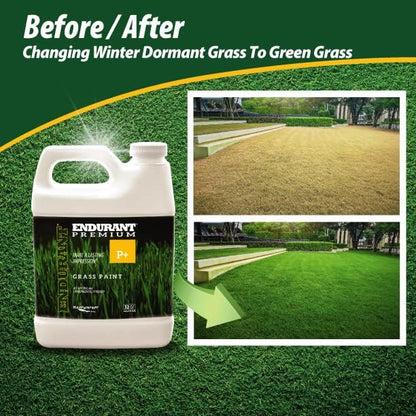 Endurant Turf Colorants - Premium Spray On Green Grass Paint for Lawns - Revives Dry, Patchy Yards