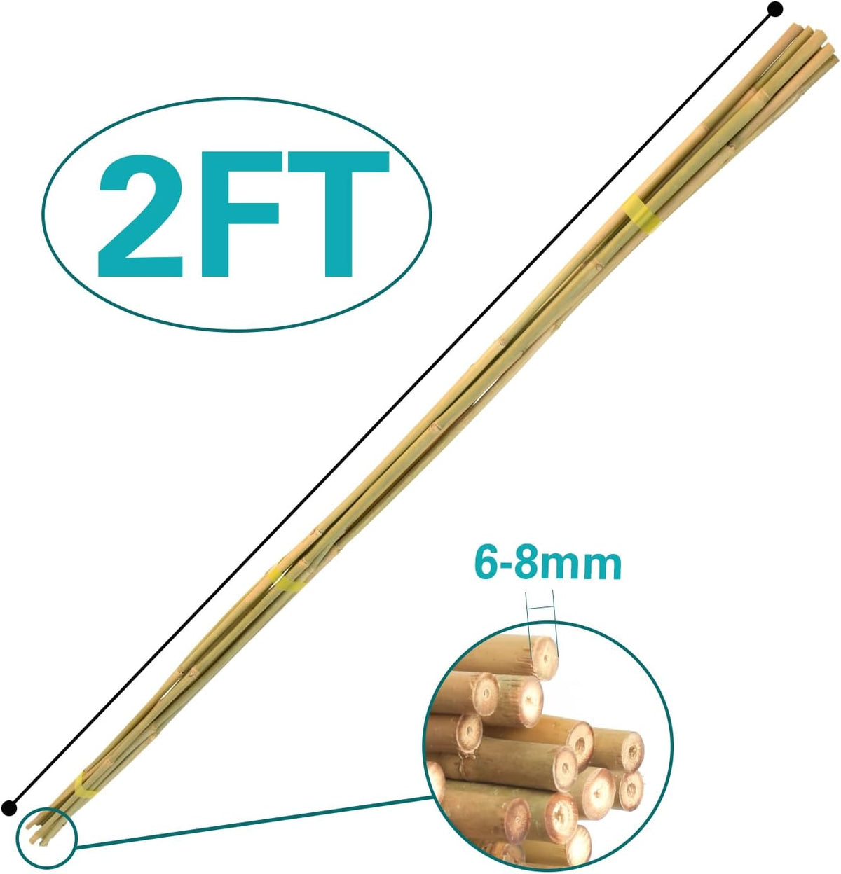 Bamboo Stakes 2FT 35pcs, 24 inch Garden Stakes Multi-Purpose, Bamboo Plant Support Stakes for
