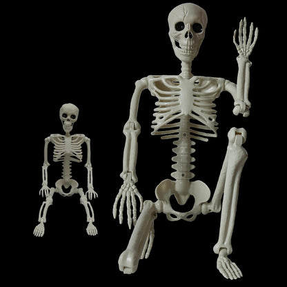 Skeleton Halloween Decorations Outdoor Indoor - 1Pcs 36" 1Pcs 16" Posable Plastic Skeleton,3FT