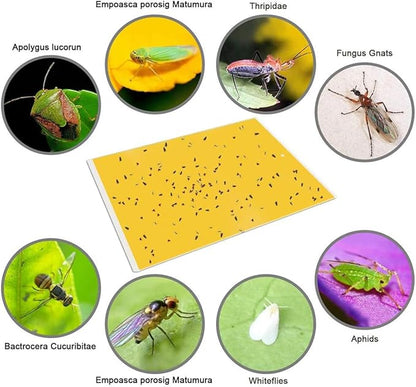 Gideal 50-Pack Dual-Sided Yellow Sticky Traps for Flying Plant Insect Fungus Gnats Whiteflies