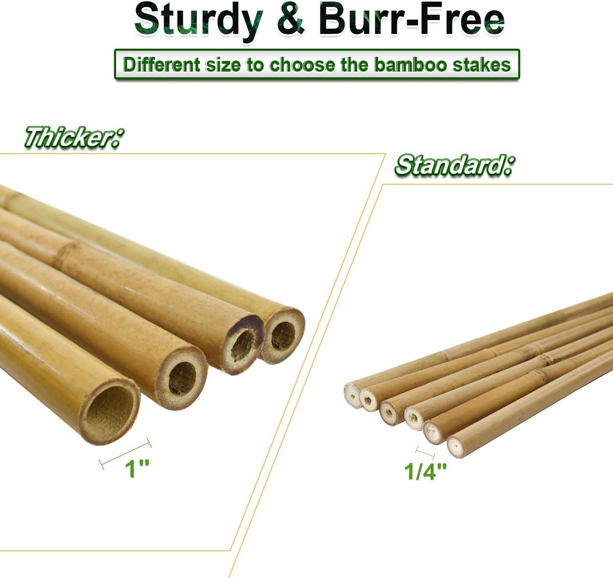10pcs 1" D Thicker Heavy Duty Bamboo Stakes, 8FT Plant Stakes, Natural Garden Stakes for Tomato