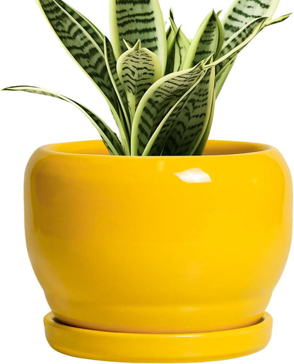 SQOWL 6 Inch Plant Pot - Ceramic Planter with Drainage Hole and Saucer, Modern Ceramic Flower Pots