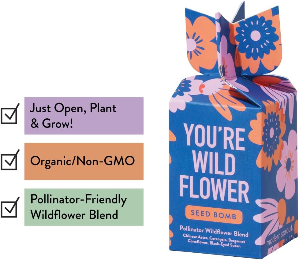 Modern Sprout Seed Bombs - Organic Wildflower & Herbs Seeds for Indoor/Outdoor Gardening - Party