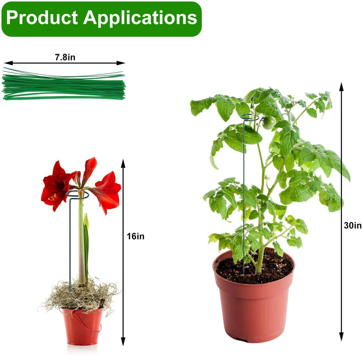 4 Pack Plant Support Stakes, 16/32 Inch Garden Stakes for Plants, Plant Accessories with 50 PCS
