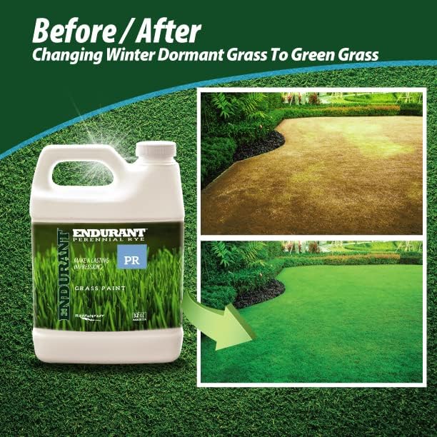 Endurant Turf Colorants - Perennial Rye Spray On Green Grass Paint For Lawns - Revives Dry, Patchy