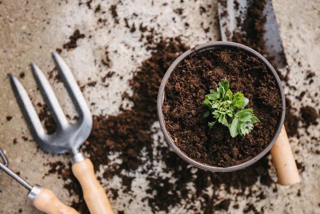 GARDENERA Premium Celery Potting Soil Mix - Optimal Nutrient-Rich Blend for Thriving and Crisp