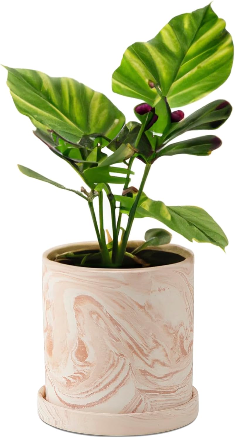 4 inch Plant Pot - Terra Cotta Flower Planters Indoor - Modern Succulents Containers with Drain