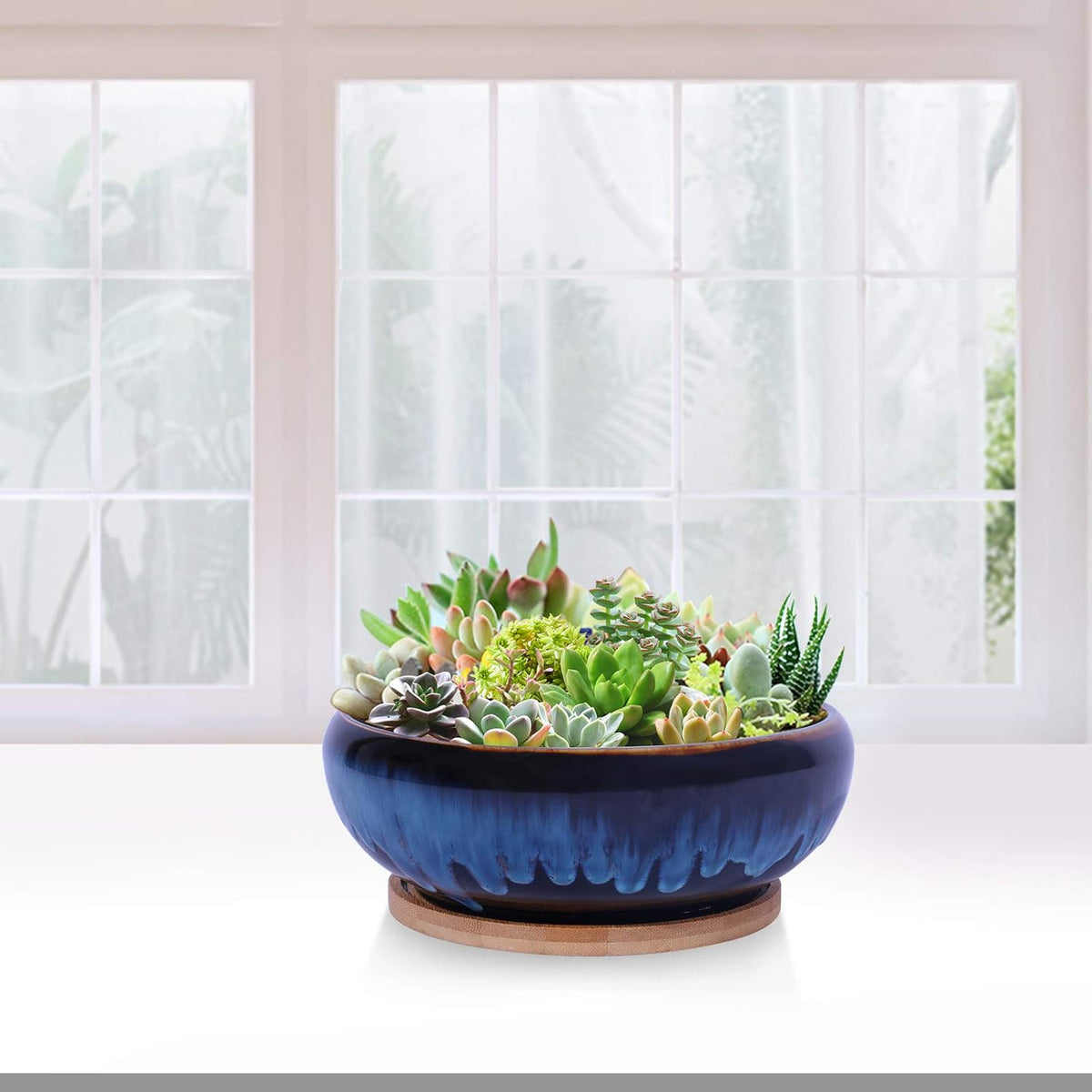 SQOWL 7 Inch Round Ceramic Succulent Planter Pot Drip Glazed Shallow Planter with Drainage Bamboo