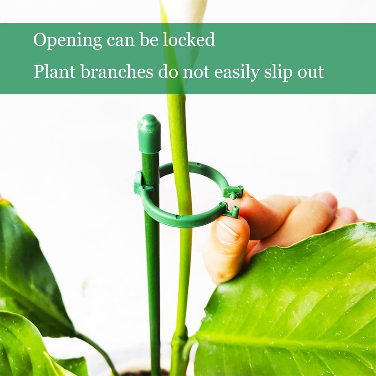 Belit 8 Pack Small Plant Support Plant Stakes, Adjustable Garden Single Stem Support Stake, Planter