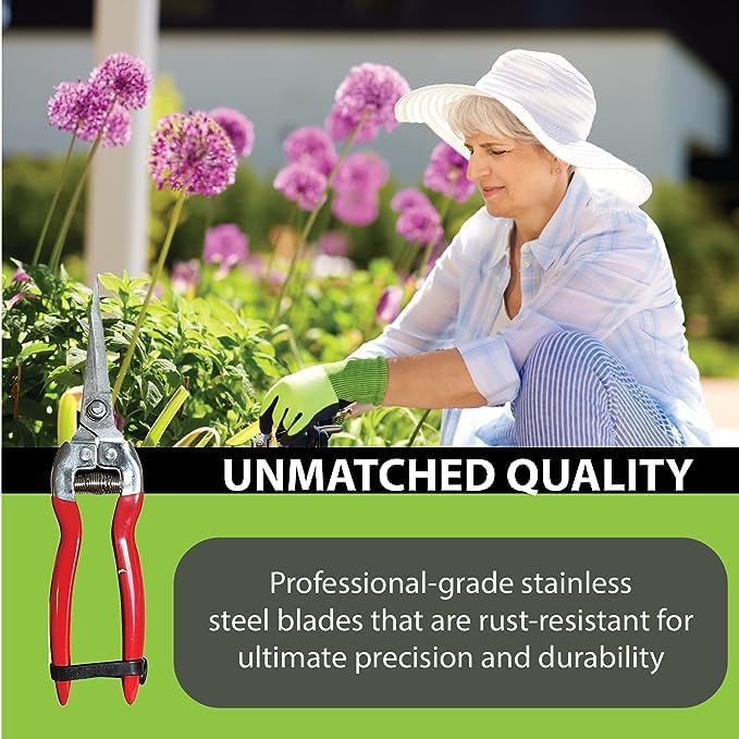 Garden Guru Straight Stainless Steel Pruner Pruning Shears Clippers Snips – Sharp Bonsai Cutter