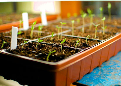 Propagation Mats Original from Manufacturer Size 11" x 48" in. for Reptiles and Seedling mats