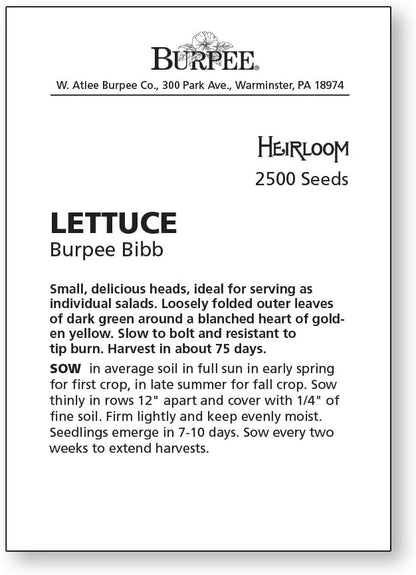 Burpee Burpee Bibb Lettuce Seeds 2500 seeds