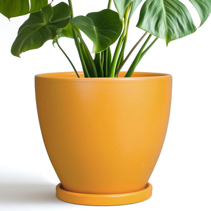 Ceramic Plant Pot - 8 Inch Planter for Indoor Outdoor Plants, Round Flower Pots with Drainage and