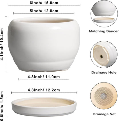 SQOWL Ceramic Flower Pots - 6 Inch Plant Pot Indoor Outdoor, Ceramic Planter with Drainage Hole and