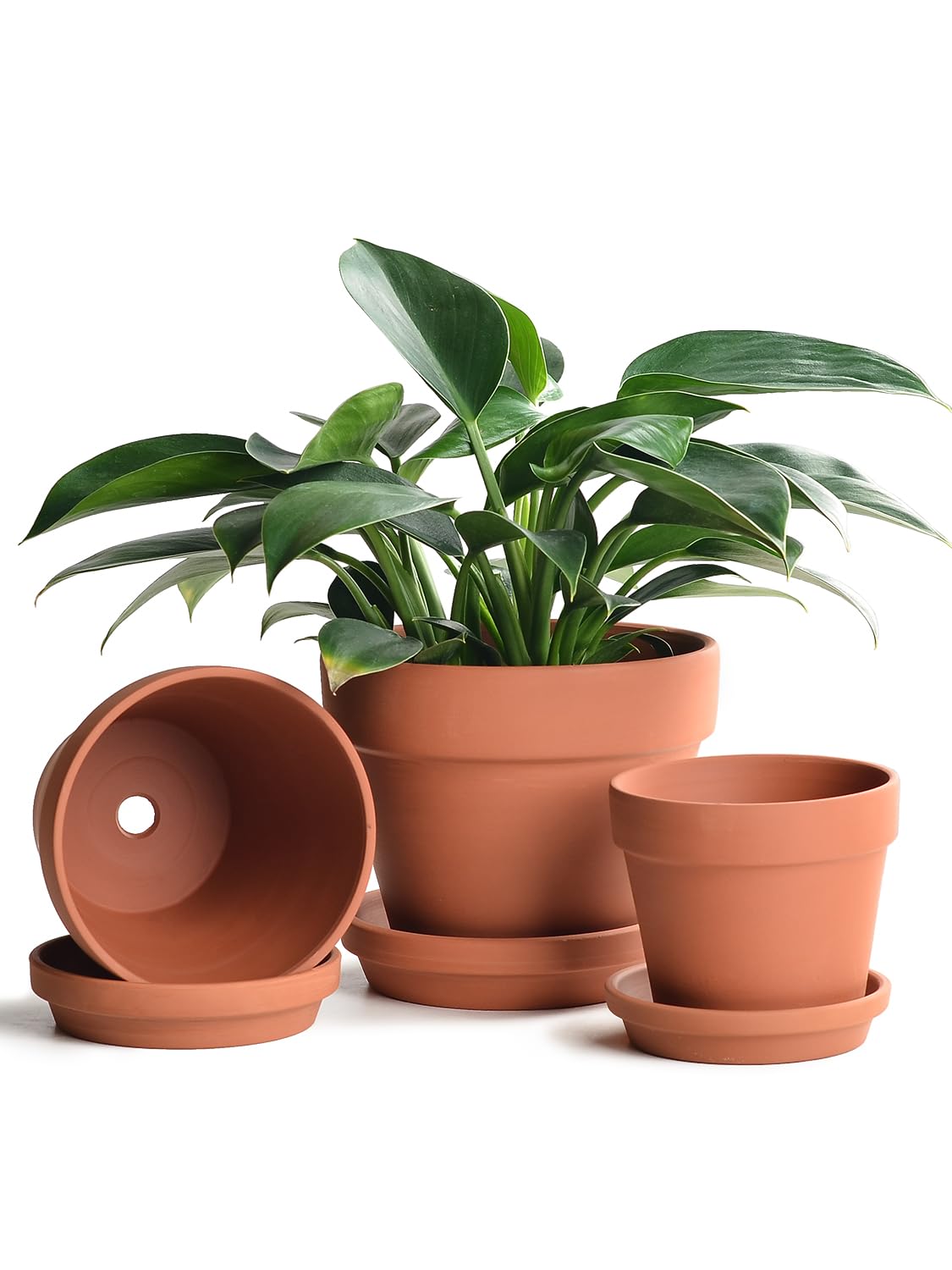 INGOFIN Terracotta Pots Set with Saucer - 5/6/7 inch Ceramic Clay Planters with Drainage Hole