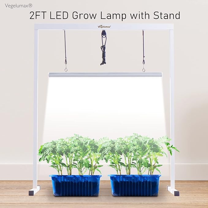 50Watt 2 Feet LED Grow Light Lamp Stand Rack with White Light Full Spectrum CRI90+ for
