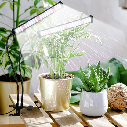 GooingTop Grow Light 100W 6000K, Super Bright White Desktop Clip Plant Lamp for Seedlings