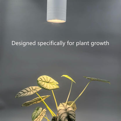 Hanging Plant Grow Light Full Spectrum Warm White Color with Timer Ceiling Decorative Grow Lamp for