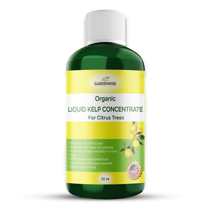 Organic Premium Kelp Seaweed Fertilizer: All-in-One Citrus Tree Fertilizer for Meyer Lemon, Lime