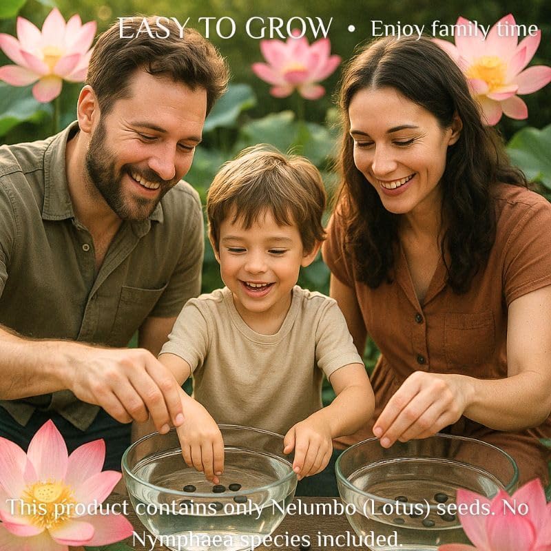 300pcs Lotus Seeds for Planting - 15 Unique Varieties Bonsai Bowl Lotus Seeds, Includes Detailed