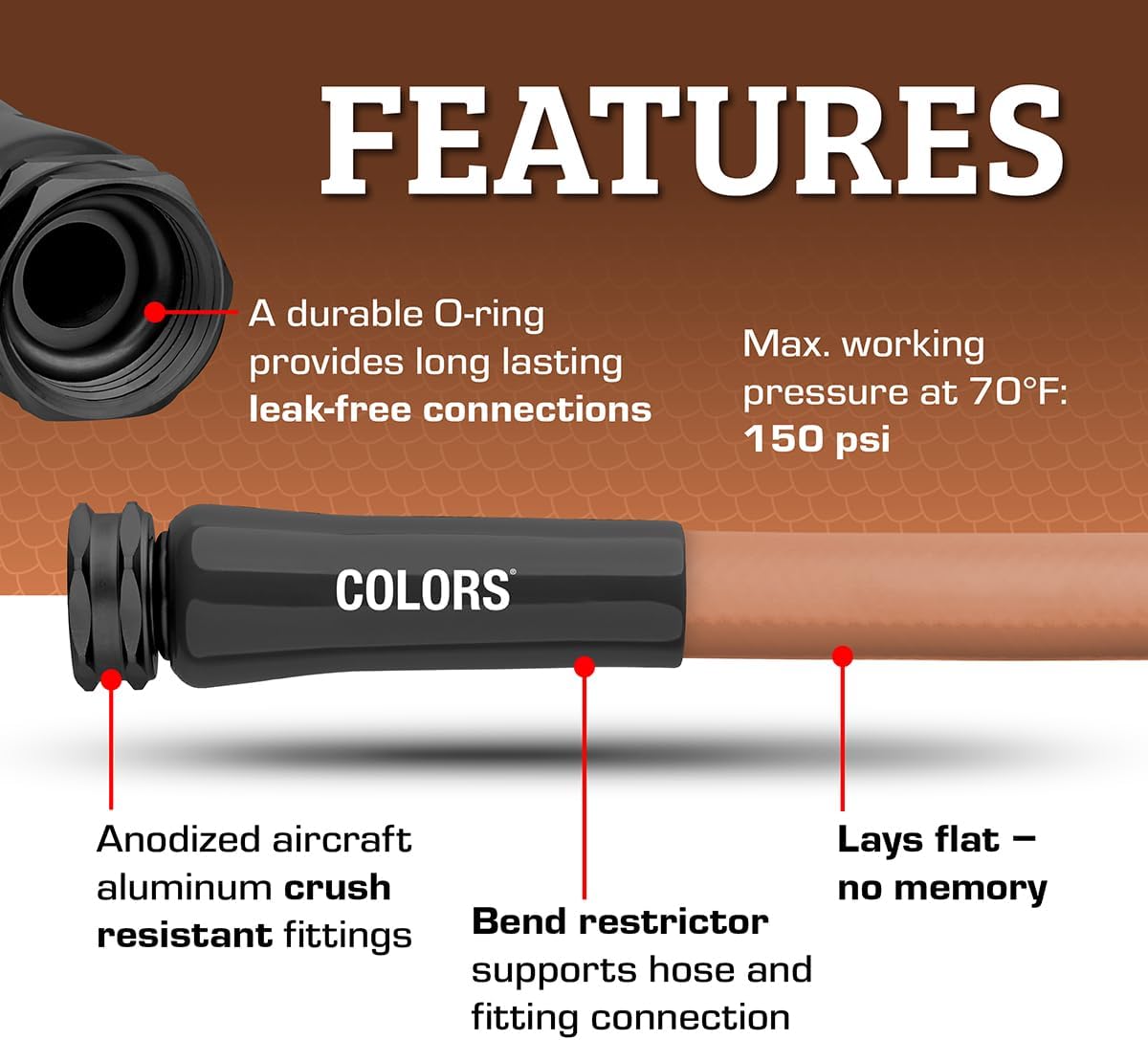 Flexzilla Colors Garden Hose 5/8 in. x 50 ft., Lightweight All-Weather Water Hose, Durable and