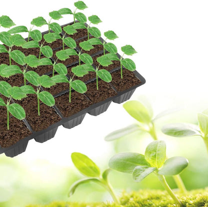 240 Cells -24 Grow Trays with Humidity Dome and Cell Insert - Mini Propagator for Seed Starting and