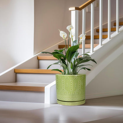 Ceramic Planter - 12 Inch Pots for Plants Indoor Outdoor, Round Large Flower Pots with Drainage