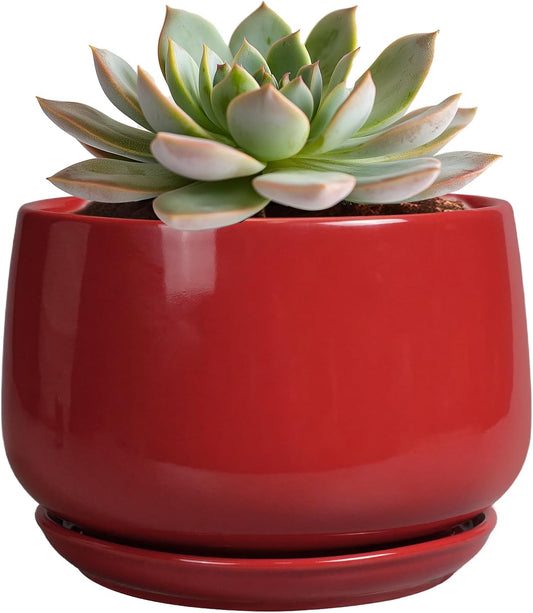 G EPGardening Ceramic Pot for Plants - 6 Inch Plant Pot with Drainage and Ceramic Tray, Modern