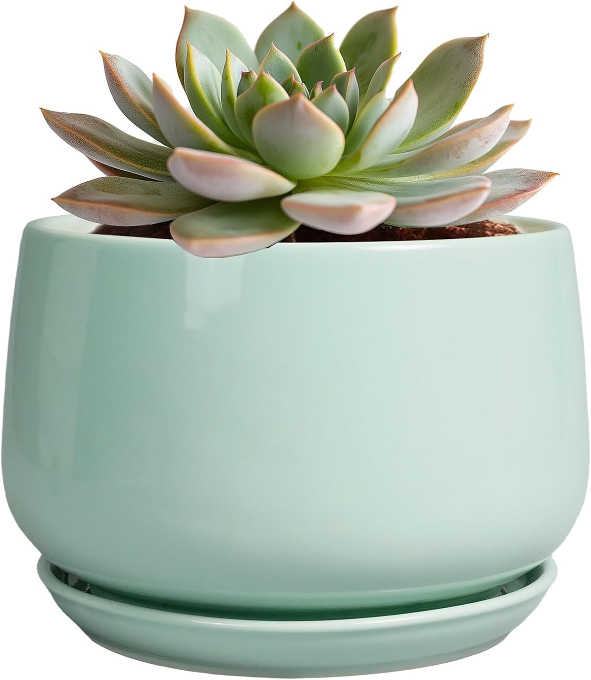 G EPGardening Ceramic Plant Pots - 6 Inch Pot for Plants, Ceramic Planter with Drainage and Saucer