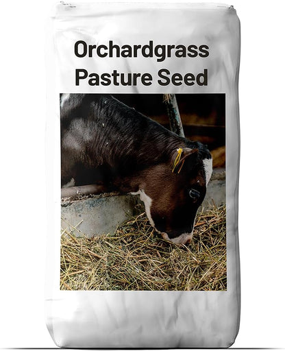 Outsidepride Grazer Orchard Pasture Grass Seed - 25 Lbs. Perennial, Drought & Shade Tolerant