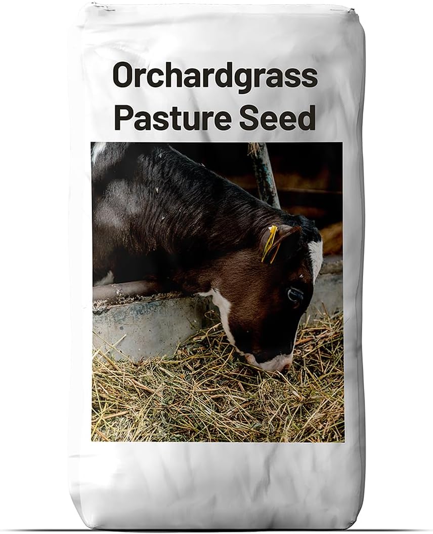 Outsidepride Grazer Orchard Pasture Grass Seed - 50 Lbs. Perennial, Drought & Shade Tolerant