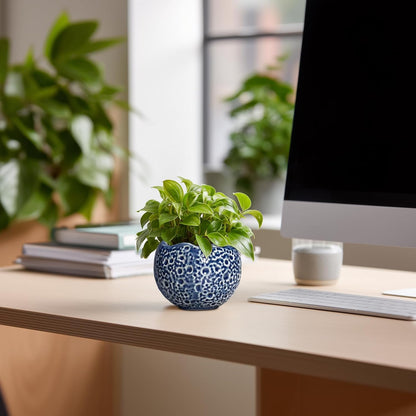 4 inch Plant Pots - Small Ceramic Planter with Drainage Hole, Succulent Pots for Indoor Outdoor