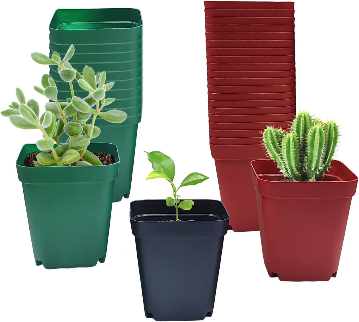 Square Plastic Nursery Pot 3" 120 Pcs Deep Succulent Pots Small Flower Planter Seeds Starter Pots