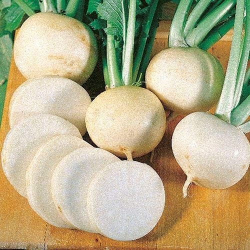 Park Seeds White Lady Hybrid Turnip Seeds, Pack of 600