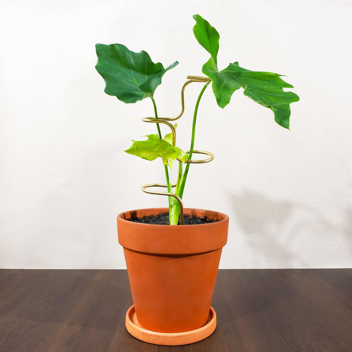 3PCS Indoor Plant Support – Durable Metal Garden Stakes for Monstera, Flowers & Herbs – 12.6 Inch