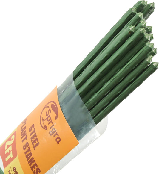 Plant Stakes 24 inch, 2ft Steel Garden Stakes 30 Pack, Sturdy Plant Support for Climbing Plants