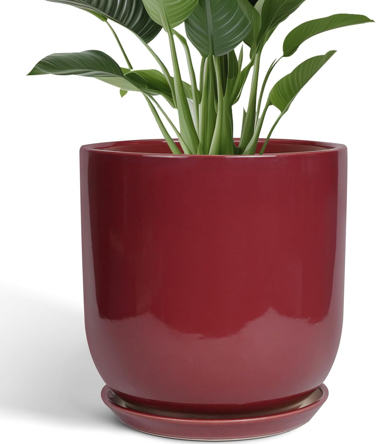 Ceramic Pots for Plants - 12 Inch Plant Pot Indoor with Drainage Hole and Saucer Large Planter