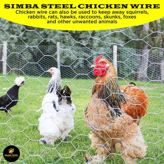 Chicken Wire 48 in x 50 FT x 2” Mesh x 20GA | Poultry Wire Netting | Hot Dipped Galvanised |