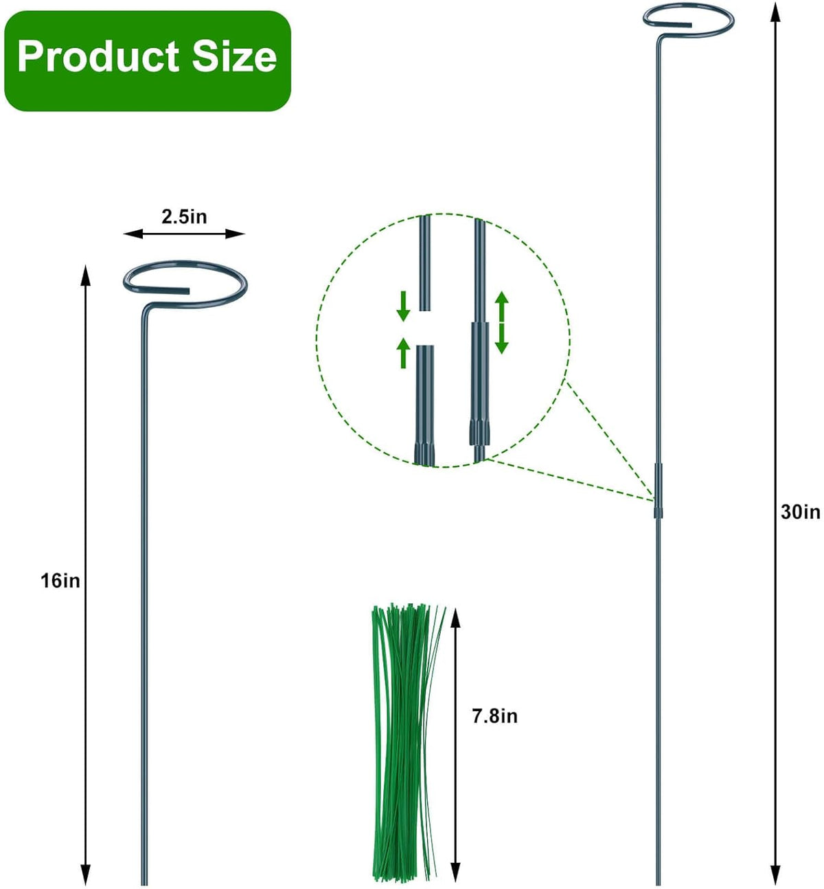 4 Pack Plant Support Stakes, 16/32 Inch Garden Stakes for Plants, Plant Accessories with 50 PCS