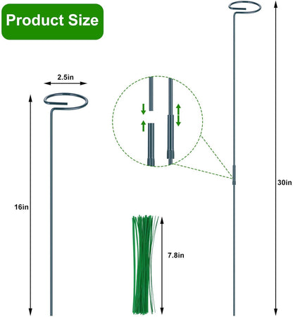 4 Pack Plant Support Stakes, 16/32 Inch Garden Stakes for Plants, Plant Accessories with 50 PCS