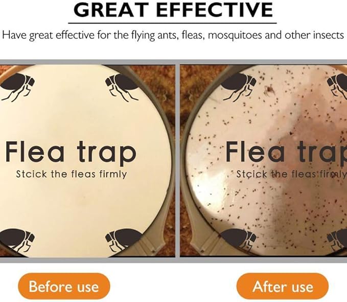 Flea Trap Refills 10 Packs, Flea Trap for Inside Your Home, Replacement Pads for Fleas Light, 7.1
