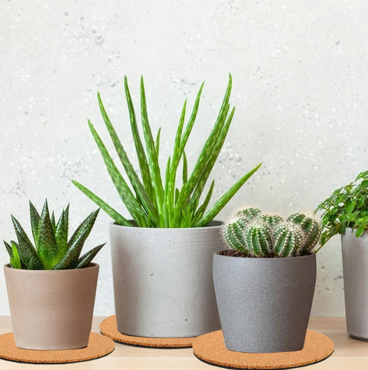 6 Pieces Cork Plant Coasters, 4 Inch Cork Plant Mats, Cork Coaster for Planters, Plant Coasters for