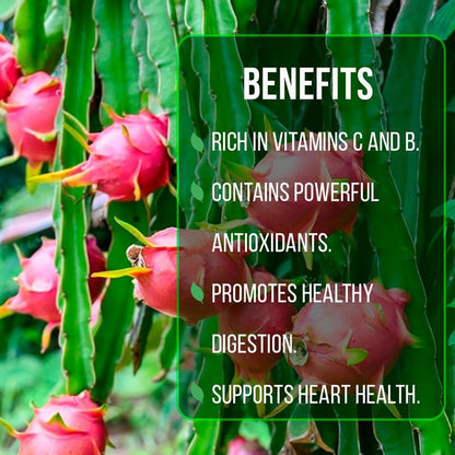 Dragon Fruit Edgar's Baby (4 Pack) | Real Live Fruit Plants for Sale | Rare Exotic Variety | Sweet